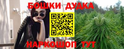 бошки Будённовск