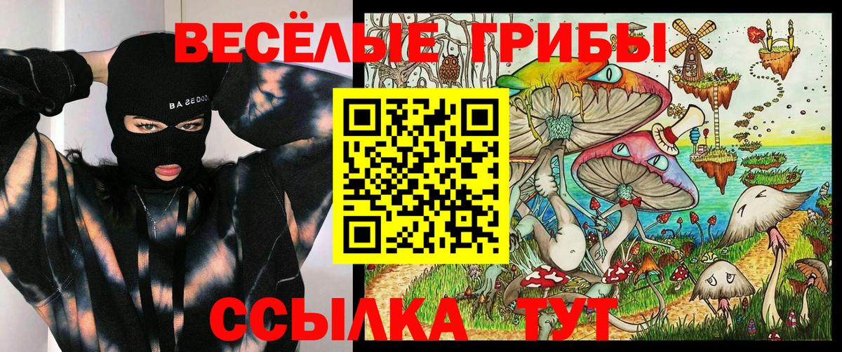 Истра  Псилоцибиновые грибы GOLDEN TEACHER  Вход с VPN 